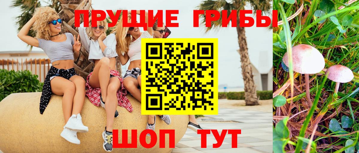 Псилоцибиновые грибы мицелий Ростов Великий
